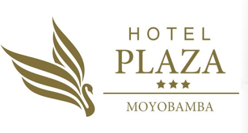 dark logo